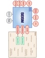 Thumbnail for version as of 23:18, 11 February 2015