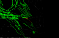 Thumbnail for version as of 21:50, 14 October 2026