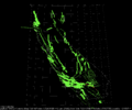 Thumbnail for version as of 22:32, 14 May 2026